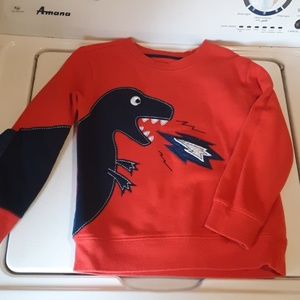 Boys Dino Sweatshirt